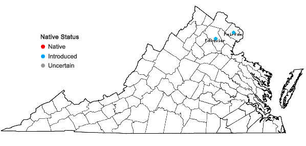 Locations ofSalix matsudana Koidzumi in Virginia