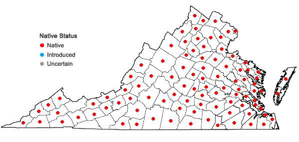 Locations ofSalix nigra Marsh. in Virginia