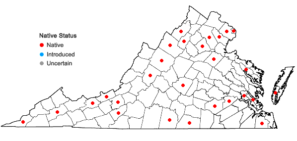 Locations ofSalix occidentalis Walter in Virginia