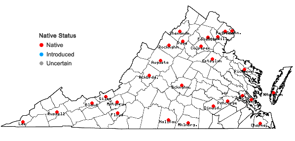 Locations ofSalix occidentalis Walter in Virginia