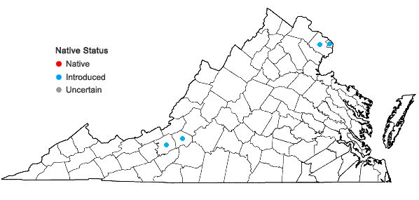 Locations ofSalix purpurea L. in Virginia