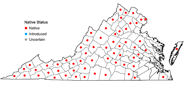 Locations ofSalix sericea Marsh. in Virginia