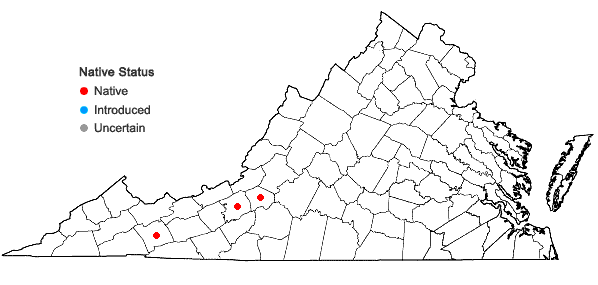 Locations ofSalix ×bebbii Gandog. in Virginia
