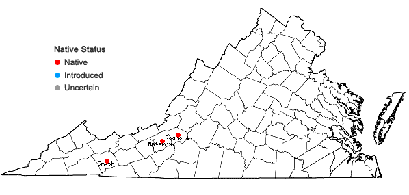 Locations ofSalix ×bebbii Gandog. in Virginia