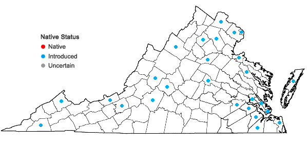 Locations ofSalix ×fragilis L. in Virginia