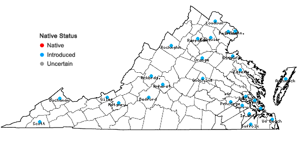 Locations ofSalix ×fragilis L. in Virginia