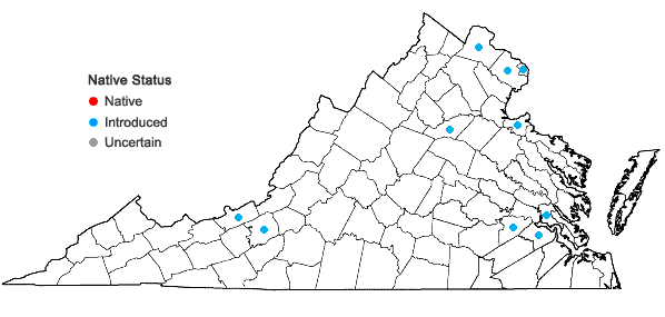 Locations ofSalix ×rubens Schrank (pro sp.) in Virginia