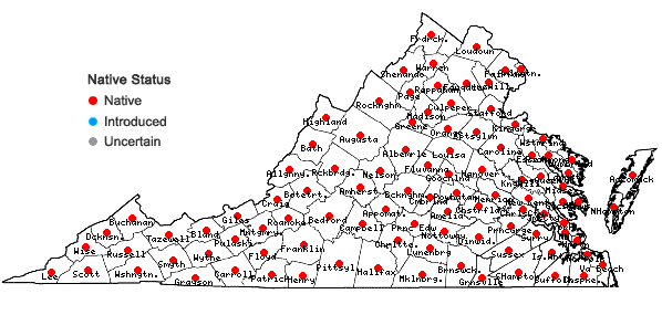 Locations ofSalvia lyrata L. in Virginia