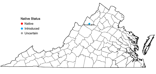 Locations ofSalvia sclarea L. in Virginia