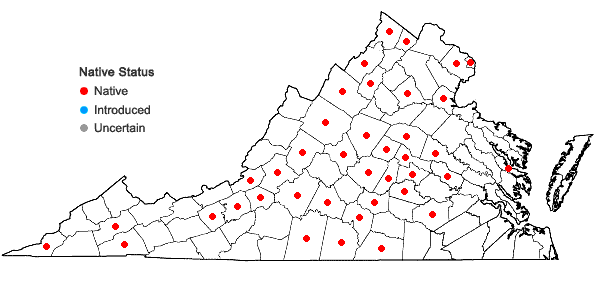 Locations ofSalvia urticifolia L. in Virginia