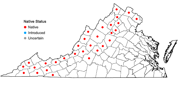 Locations ofSambucus racemosa L. var. pubens (Michx.) Koehne in Virginia