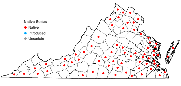Locations ofSamolus parviflorus Raf. in Virginia