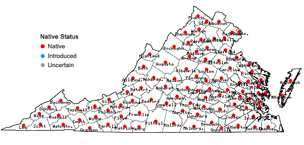 Locations ofSanguinaria canadensis L. in Virginia