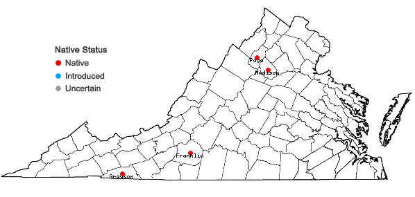 Locations ofSanguisorba canadensis L. in Virginia