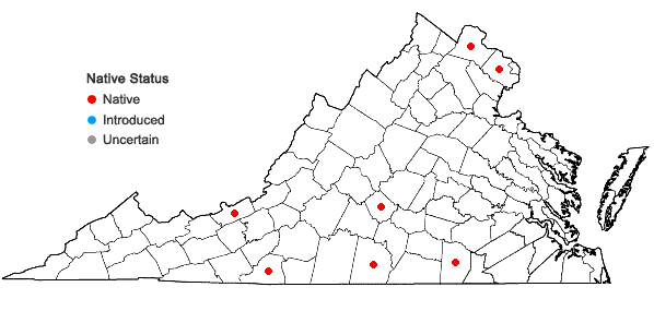 Locations ofSanicula canadensis L. var. grandis Fern. in Virginia