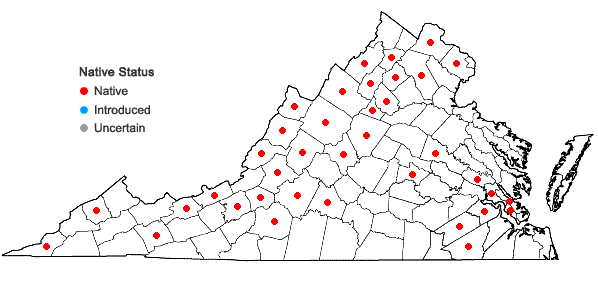 Locations ofSanicula marilandica L. in Virginia