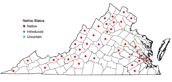 Locations ofSanicula marilandica L. in Virginia
