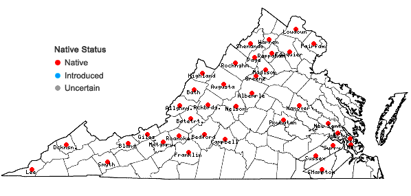 Locations ofSanicula marilandica L. in Virginia