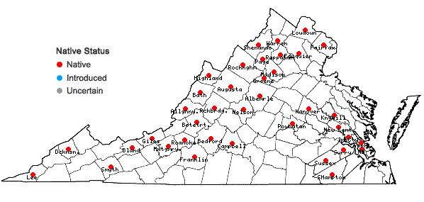 Locations ofSanicula marilandica L. in Virginia