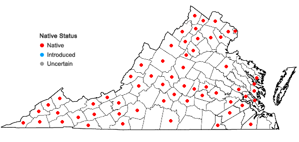 Locations ofSanicula odorata (Raf.) K.M. Pryer & L.R. Phillippe in Virginia