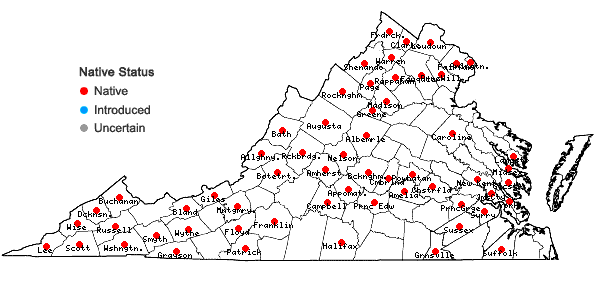 Locations ofSanicula odorata (Raf.) K.M. Pryer & L.R. Phillippe in Virginia