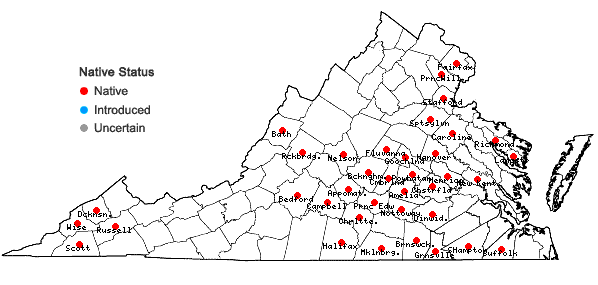 Locations ofSanicula smallii Bickn. in Virginia