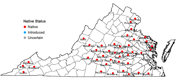 Locations ofSanicula smallii Bickn. in Virginia