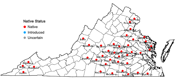 Locations ofSanicula smallii Bickn. in Virginia