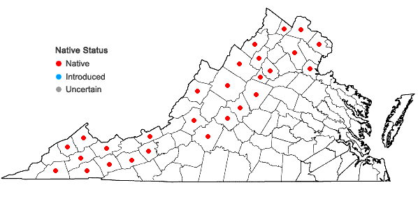 Locations ofSanicula trifoliata Bickn. in Virginia