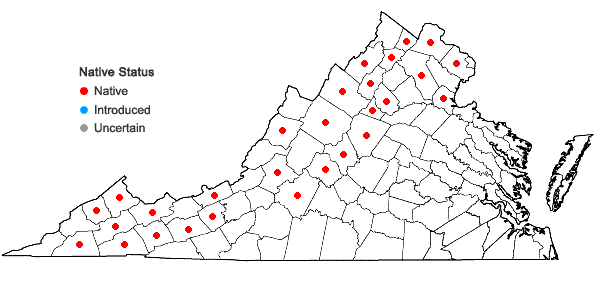 Locations ofSanicula trifoliata Bickn. in Virginia