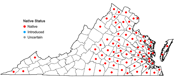 Locations ofSaururus cernuus L. in Virginia