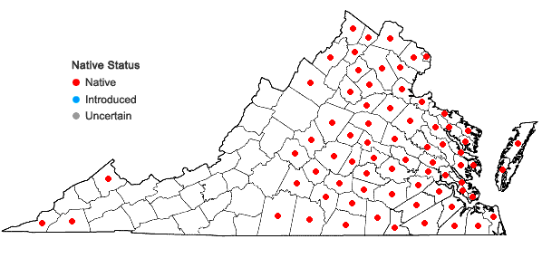 Locations ofSaururus cernuus L. in Virginia