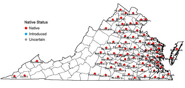 Locations ofSaururus cernuus L. in Virginia