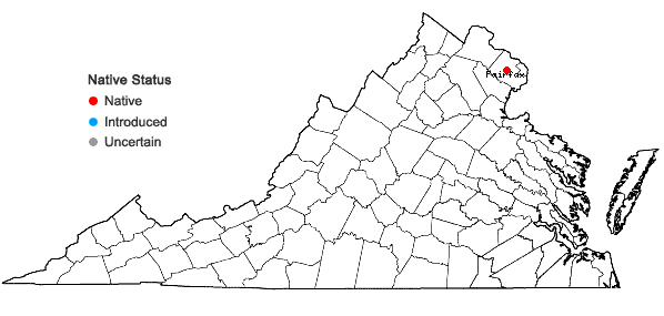 Locations ofScapania irrigua (Nees) Nees in Virginia