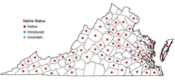 Locations ofScapania nemorea (L.) Grolle in Virginia