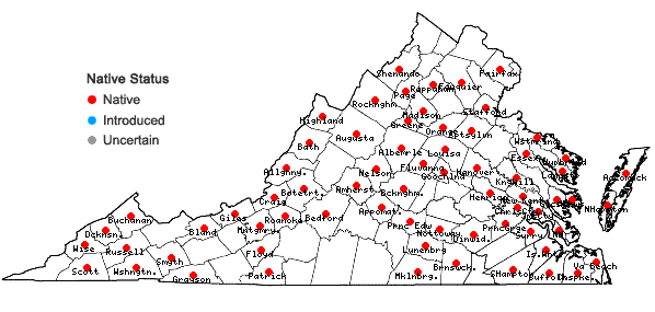 Locations ofScapania nemorea (L.) Grolle in Virginia