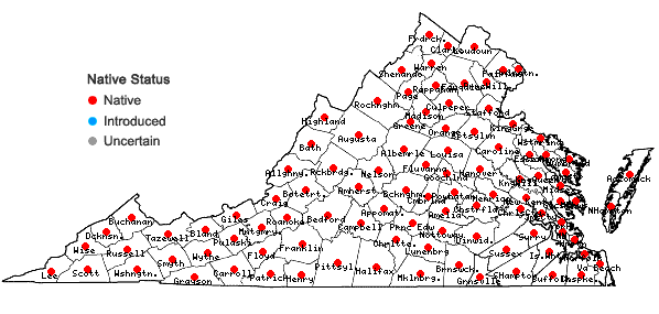 Locations ofSceptridium dissectum (Sprengel) Lyon in Virginia