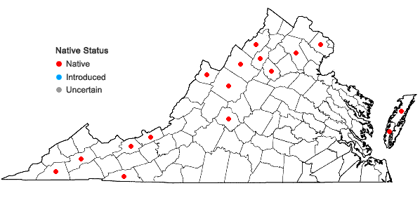 Locations ofSceptridium oneidense (Gilbert) Holub in Virginia