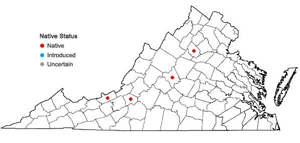 Locations ofSchistidium canadense (Dupr.) Ignatova & H.H. Blom in Virginia