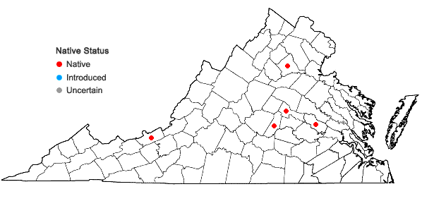 Locations ofSchistidium dupretii (Thér.) W.A. Weber in Virginia