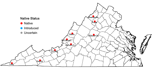 Locations ofSchistidium liliputanum (Müll. Hal.) Deguchi in Virginia