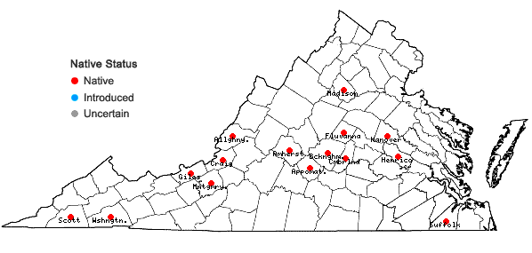 Locations ofSchistidium rivulare (Brid.) Podp. in Virginia