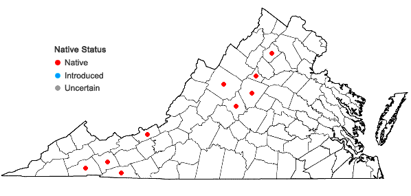 Locations ofSchistidium sp. A. in Virginia