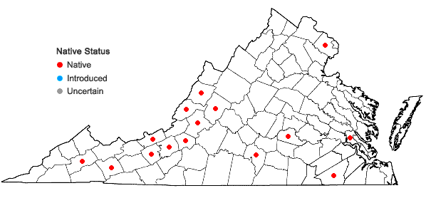 Locations ofSchistidium viride H. H. Blom & C. Darigo in Virginia