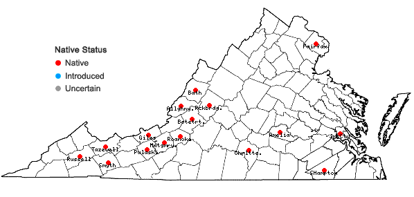 Locations ofSchistidium viride H. H. Blom & C. Darigo in Virginia