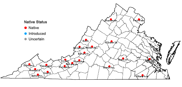 Locations ofSchistidium viride H. H. Blom & C. Darigo in Virginia