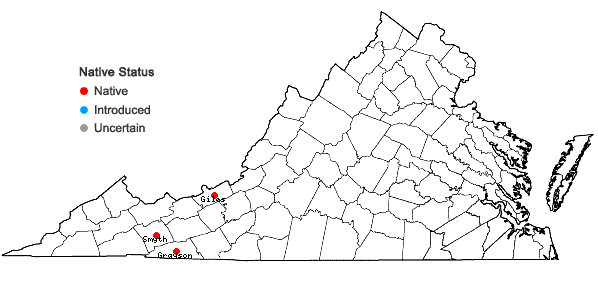 Locations ofSchistochilopsis incisa (Schrad.) Konstant. in Virginia