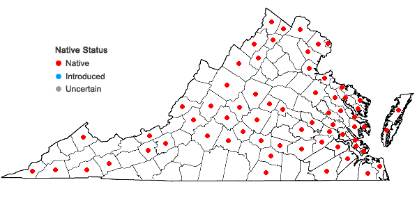 Locations ofSchoenoplectus pungens (Vahl) Palla var. pungens in Virginia