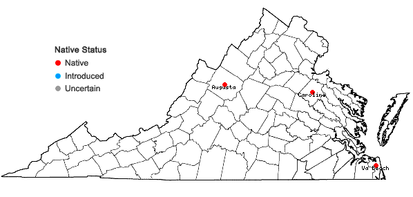 Locations ofSchoenoplectus subterminalis (Torrey) Sojak in Virginia