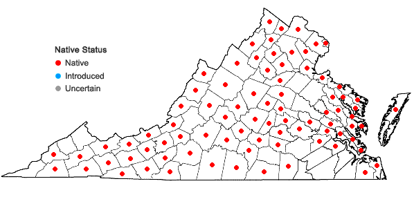Locations ofSchoenoplectus tabernaemontani (Gmelin) Palla in Virginia